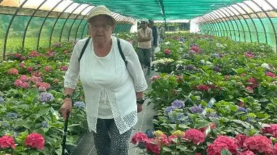 Promenade dans une serre de fleurs