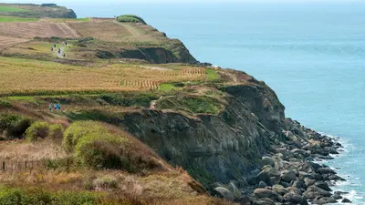 Vue sur une falaise de la Côte d'Opale