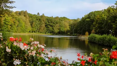 Lac de Forges-les-Eaux