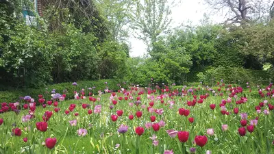 Jardin des Récollets Jardin des Récollets