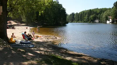 étang de Hasselfurth à Bitche