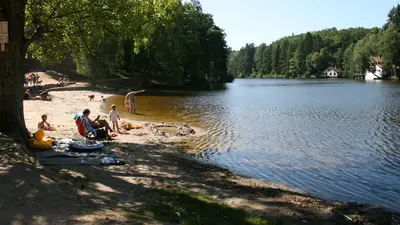 Etang aux environs de Bitche
