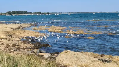 La presqu'île de Rhuys
