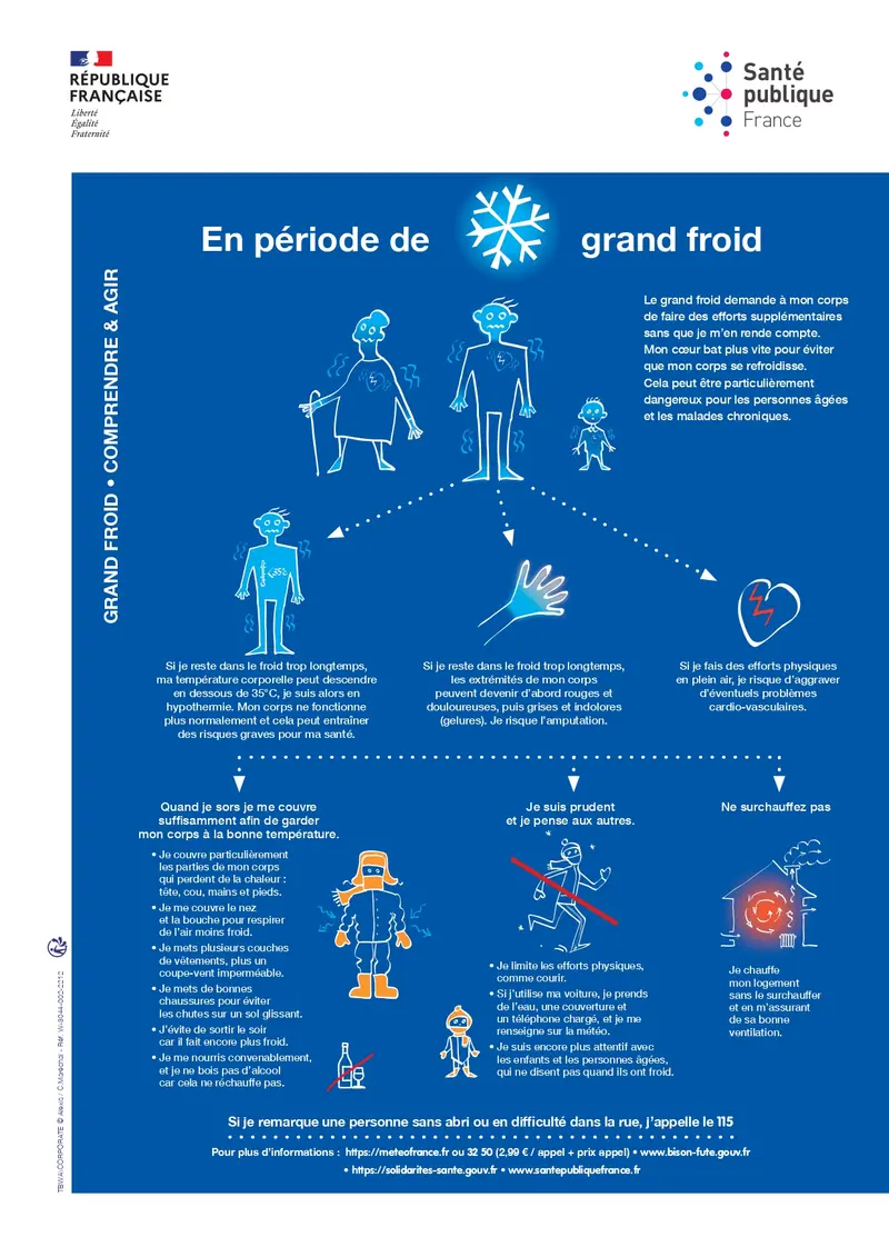 Infographie santé publique France